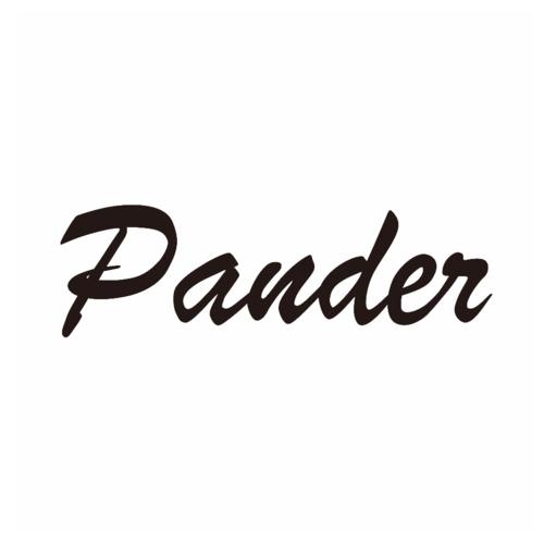Shop Clothing at PANDER INTERNATIONAL INC.