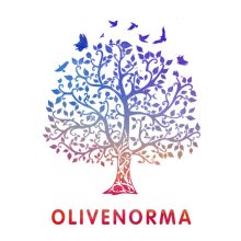 Olivenorma – Healing Stones Balance Your Chakras