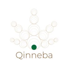 Qinneba (formerly CBD Online Store) – Shop our Best Selling Delta 8 Cigarettes – Carton ? DVNT!